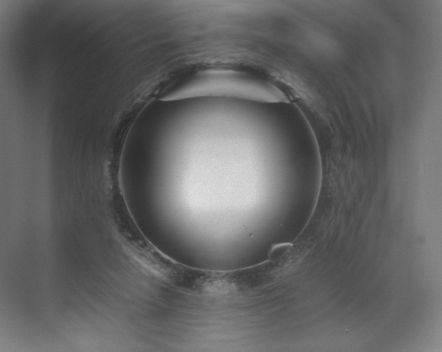 X0000071810258200606301234