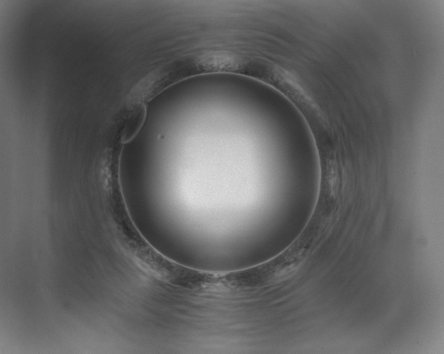 X0000071810259200606301234