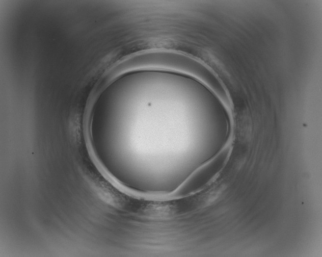 X0000071810260200606301234