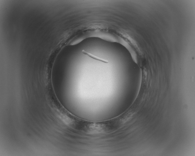 X0000071810261200606301234