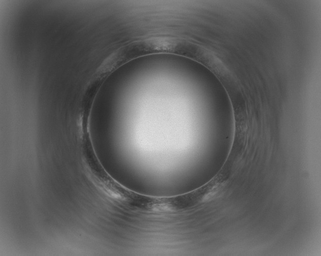 X0000071810262200606301234