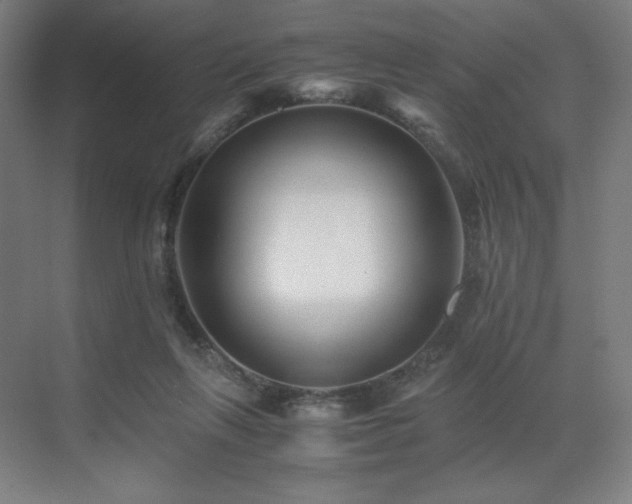 X0000071810263200606301234