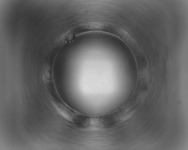 X0000071810264200606301234