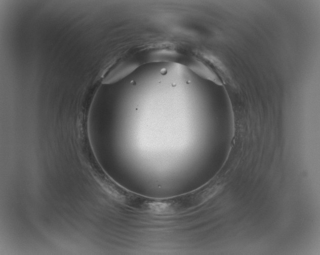 X0000071810265200606301234