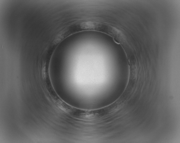 X0000071810267200606301234