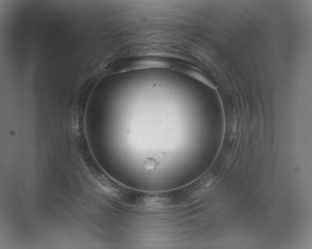 X0000071810268200606301234