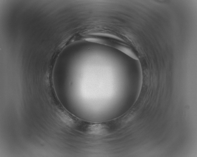 X0000071810269200606301234