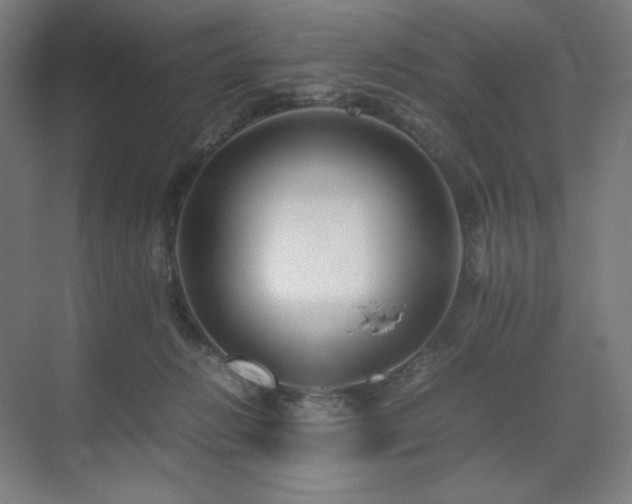 X0000071810270200606301235