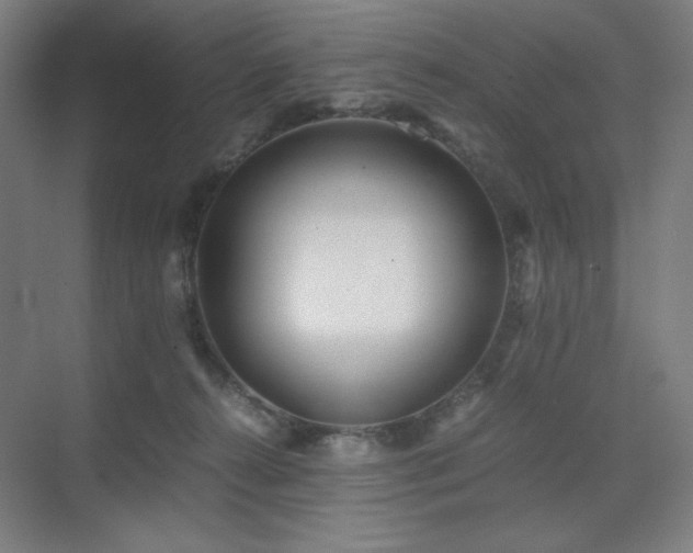 X0000071810272200606301235