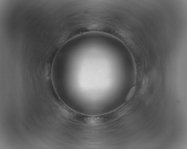 X0000071810273200606301235