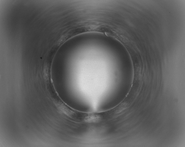 X0000071810274200606301235