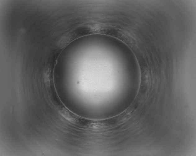 X0000071810275200606301235