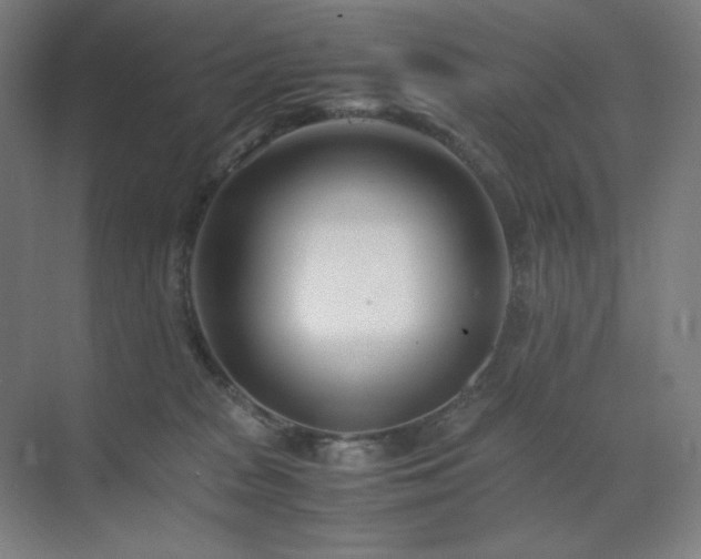 X0000071810277200606301235