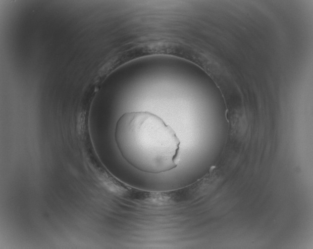 X0000071810278200606301235