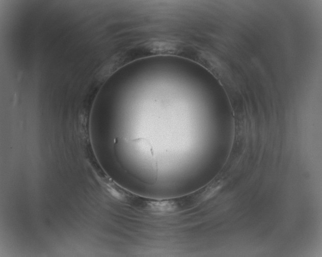 X0000071810281200606301235