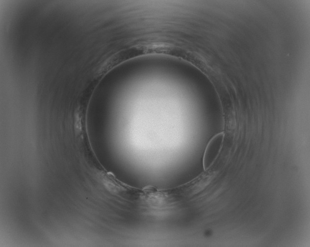 X0000071810282200606301235