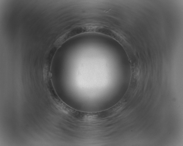 X0000071810283200606301235