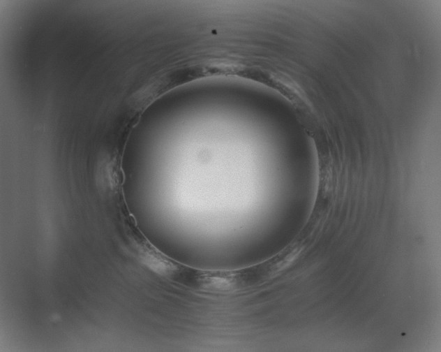 X0000071810285200606301235