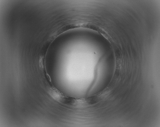 X0000071810286200606301235