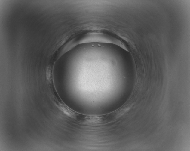 X0000071810288200606301235