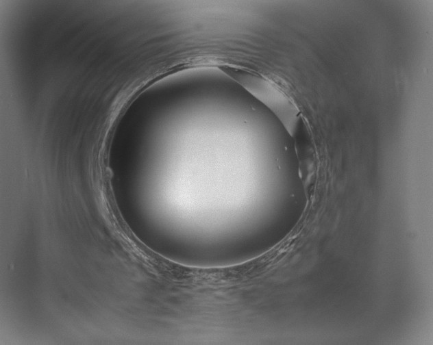 X0000071810289200606301234