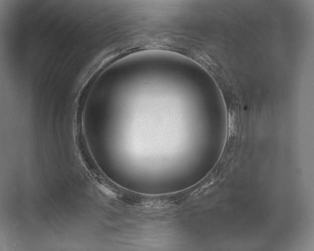 X0000071810291200606301234