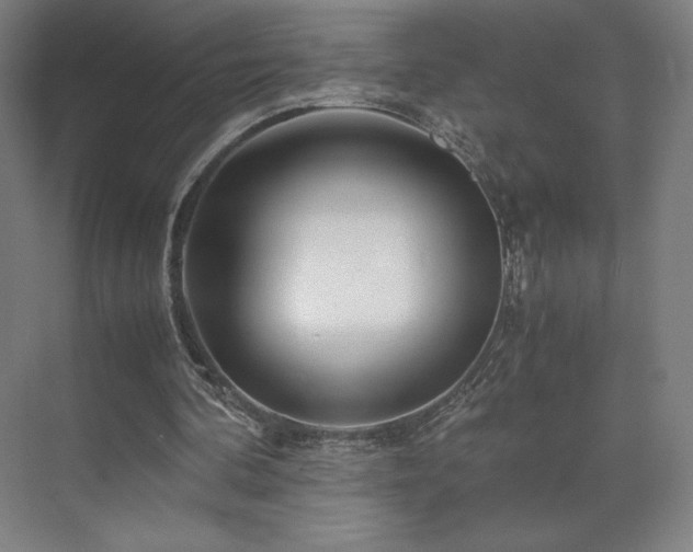 X0000071810292200606301234