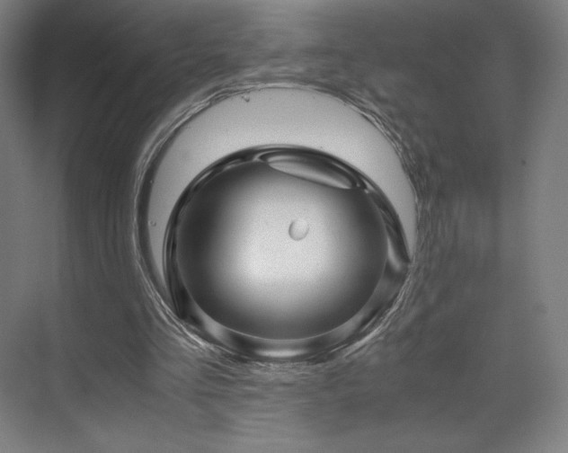 X0000071810293200606301234