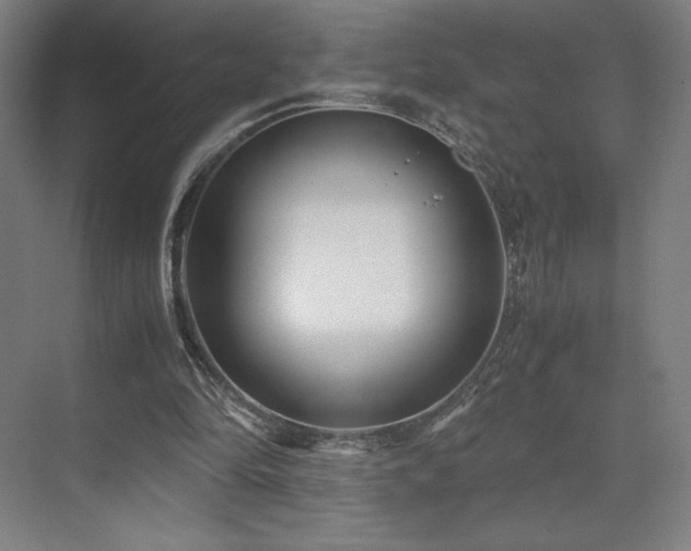 X0000071810294200606301234