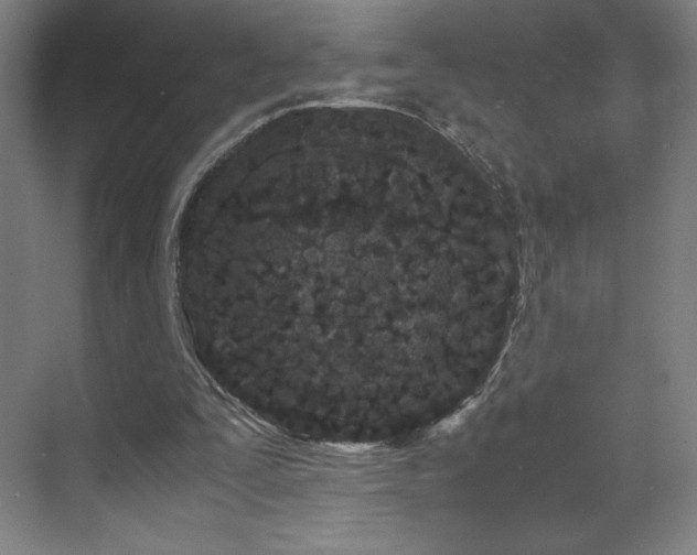 X0000071810295200606301234