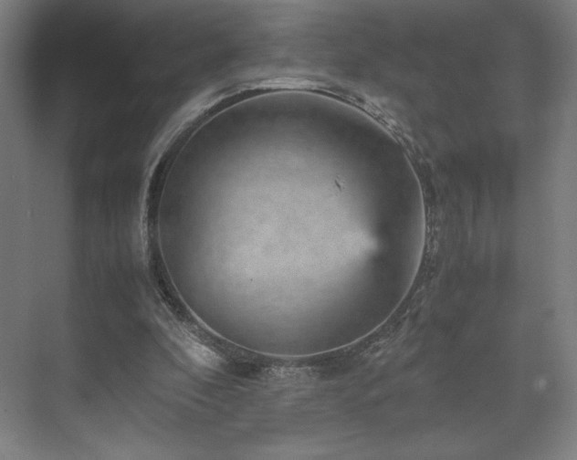 X0000071810296200606301234