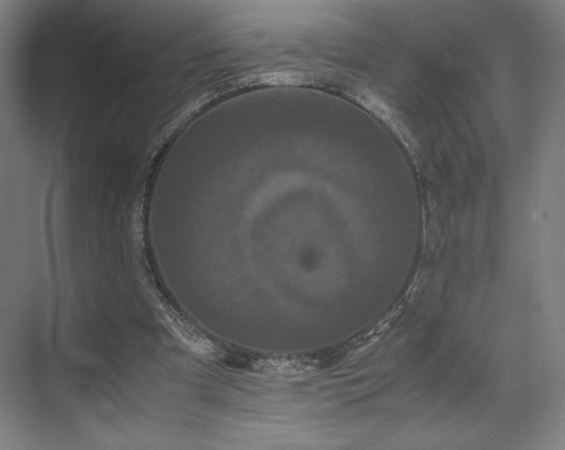 X0000071810297200606301234