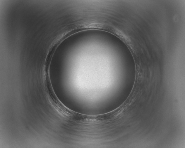 X0000071810298200606301234