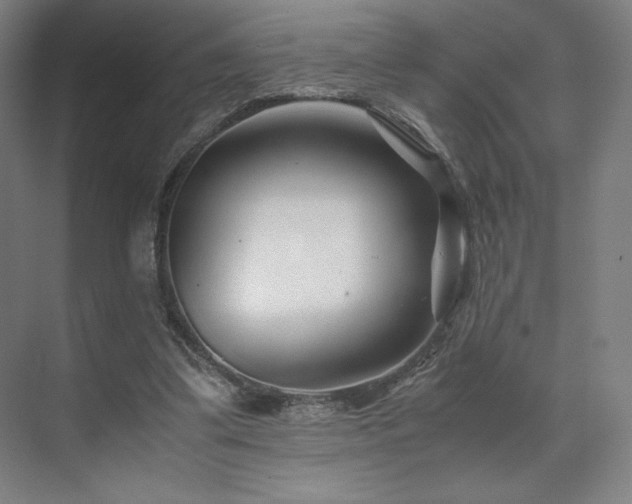 X0000071810299200606301234