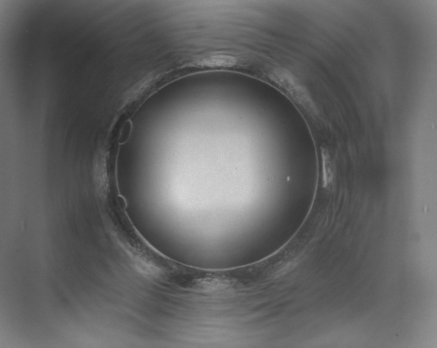 X0000071810300200606301234