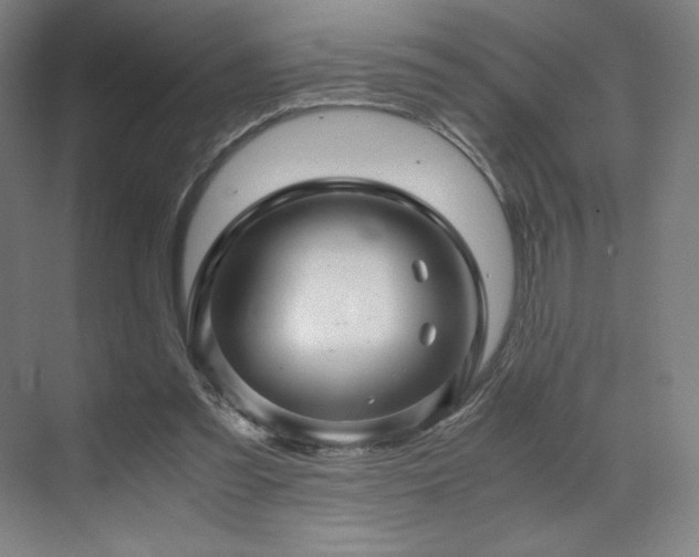 X0000071810301200606301234