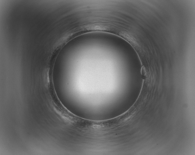 X0000071810302200606301234