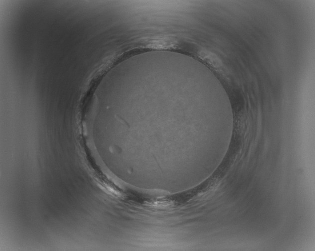 X0000071810303200606301234