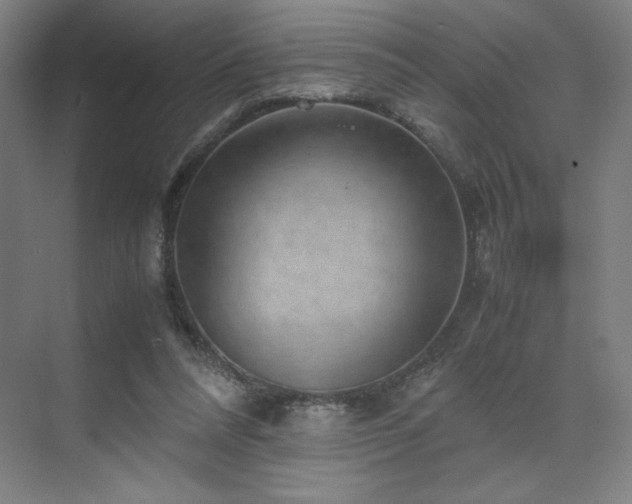 X0000071810304200606301234