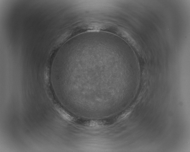 X0000071810305200606301234