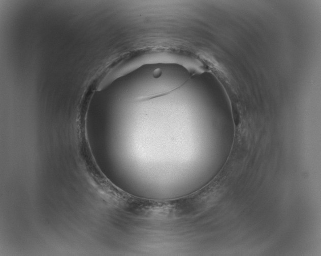 X0000071810306200606301234