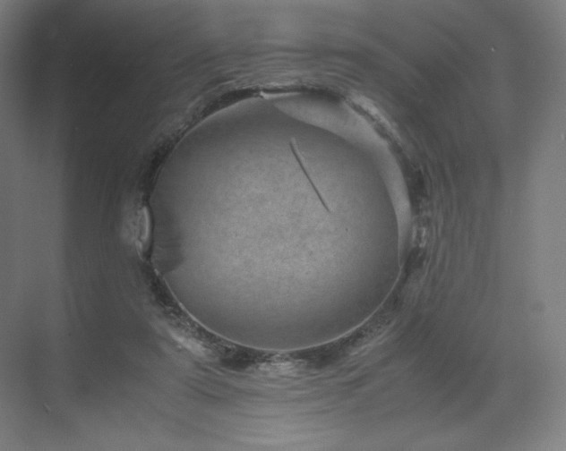 X0000071810307200606301234