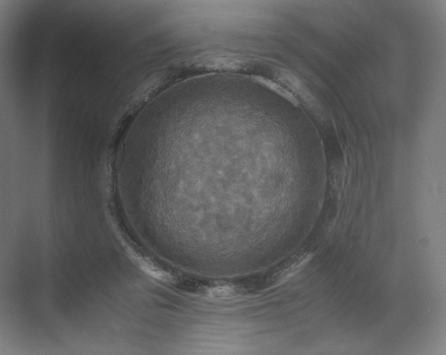 X0000071810309200606301234