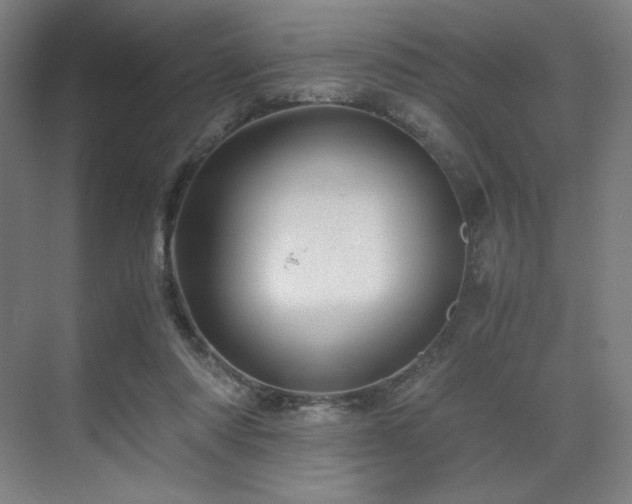 X0000071810310200606301234