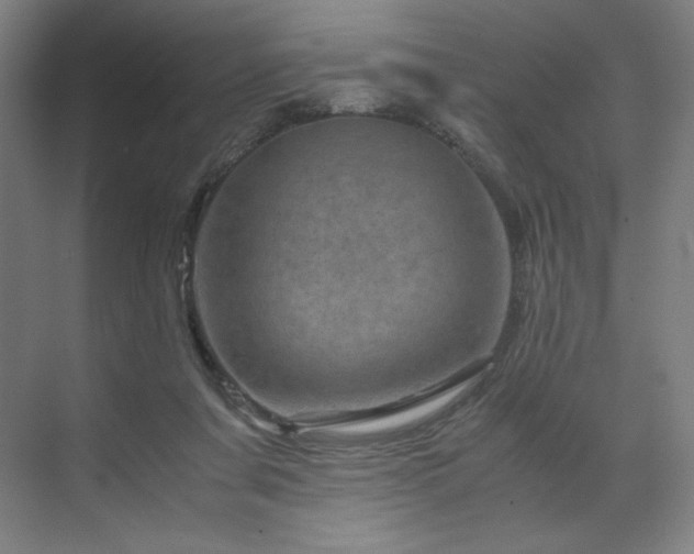 X0000071810311200606301234