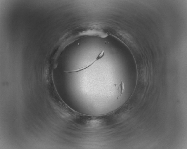 X0000071810312200606301234