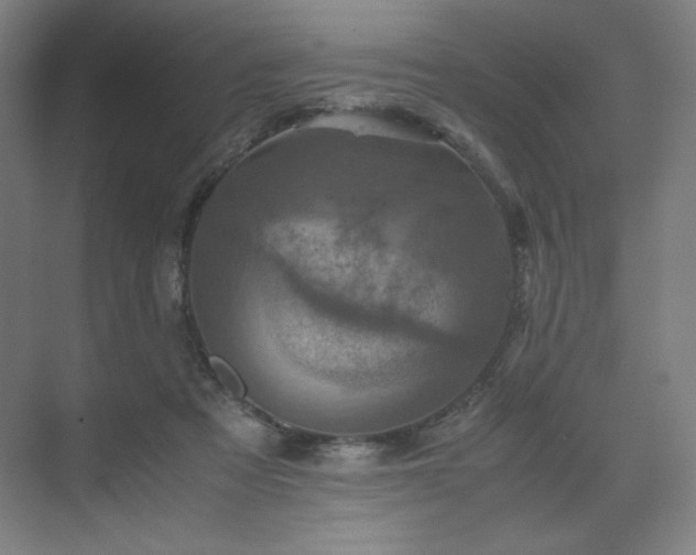 X0000071810313200606301234