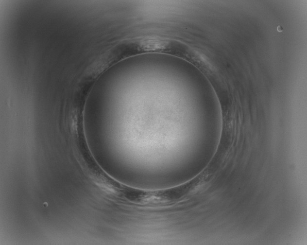 X0000071810315200606301234