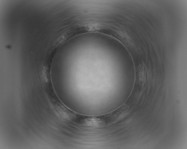 X0000071810316200606301234