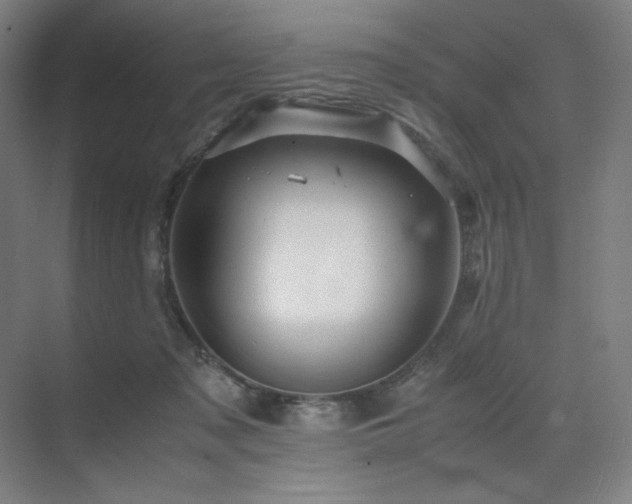 X0000071810317200606301234